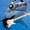 rockstar.shark