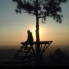 wahyususanto287