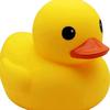 aplasticduck