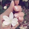 userlnc6r7sz4a1
