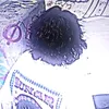 s_k_z_12