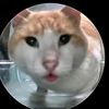 hhhv_wilson