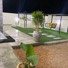 bichara291