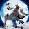 luffy2255.6