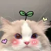 Owen đời thường😉