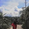 fazila_exfh