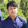 javid.shinwari