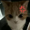 its_bincee