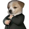 junjo_onfroy_l0