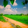 shaban_siyal_pinda_alla