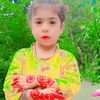 kashifsheikh3659