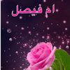 user2711342030544