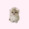 c0quetteyz.cute