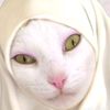 azmi.thafana