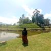 t_noer88