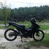 bacotelu644