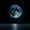 moonofphenix