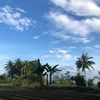 gustiarif_313