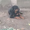 userb4zn5rkdwy