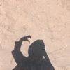 baiqqilma122