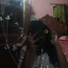 humayra_053
