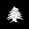 aleylebanon