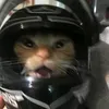 qmnpg