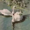 _zuzaofficial_