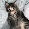 ellsxx24
