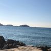 apocan_001