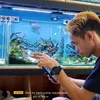 benscamp_aquascape