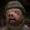 putinchuylo