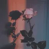 mazzzz_h