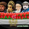 rahimi.sadrallah