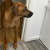 emmacooprrrrrrrr