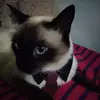 azuleta_aqui_y_ahora