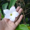 usertasnim12345678