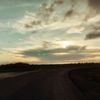 melny_20