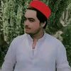 .shahzad..anp