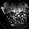 ensbil_1