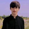 maqsudjani1