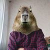 capybara.l