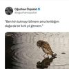 hcakmaklar