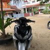 fauzii4482