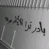 hassan2010._