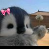 piiaa2