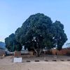 chandragiri_24