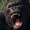 aku.kingkong18