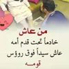 user4243656607094