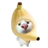 _noxinh_6